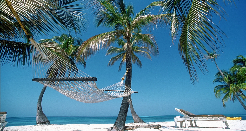 �Ϸʵ��ռ��u����